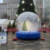 Snow Globe Rentals