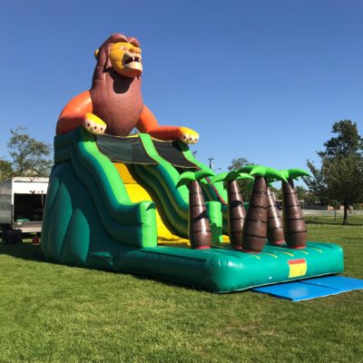 Lion Slide Rentals