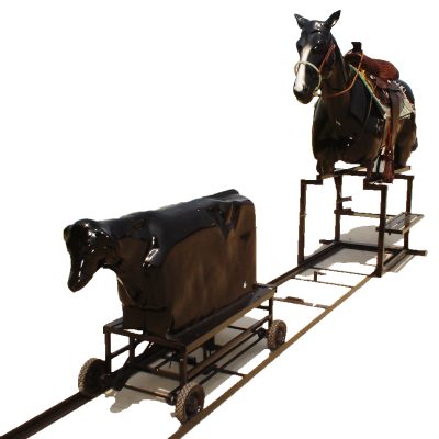 PartyWorks - Rodeo Roper Rentals