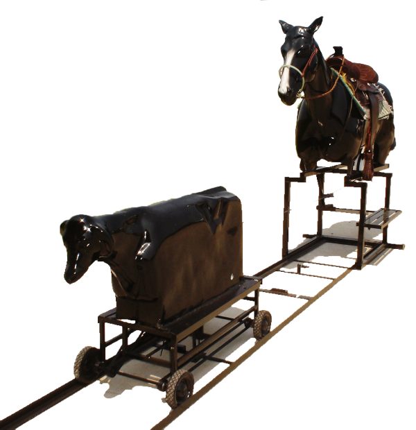 Bari Roper Rodeo Roper – Vancouver PartyWorks